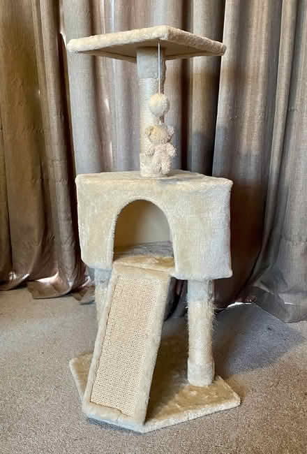 Photo of free Cat tree and scratching tower (Borough Green TN15) #1