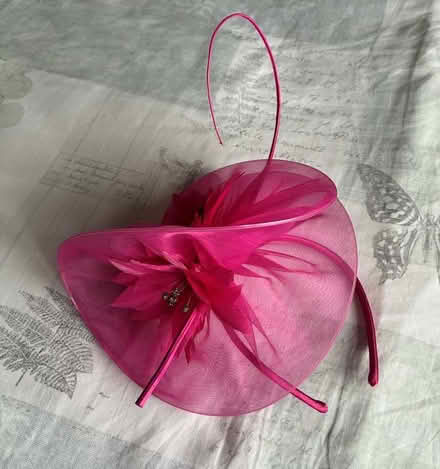 Photo of free Pink Fascinator (Garden City OX5) #2