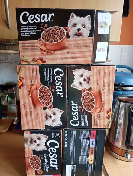 Photo of free dog food (King's Hedges Ward CB4) #1