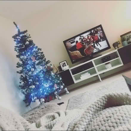 Photo of free Christmas tree (Wincobank S5) #1