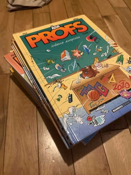 Photo of free Les Profs BD graphic novels French (E8) #1