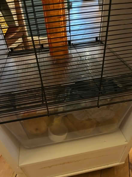 Photo of free Gerbil cage, two level. Omlet (OX4 near Donnington Bridge) #1