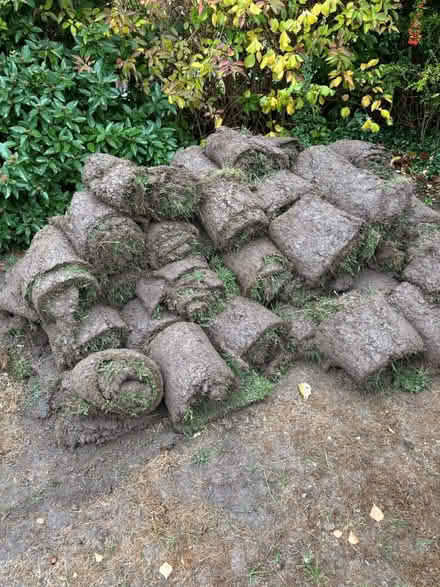 Photo of free Turf rolls (RG31 6RL) #3