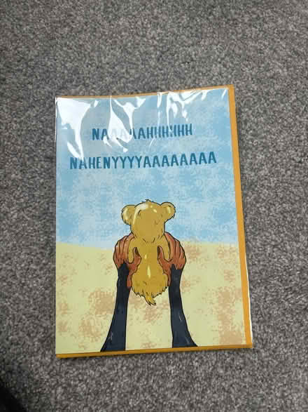 Photo of free New baby lion king card (North shields NE30) #1