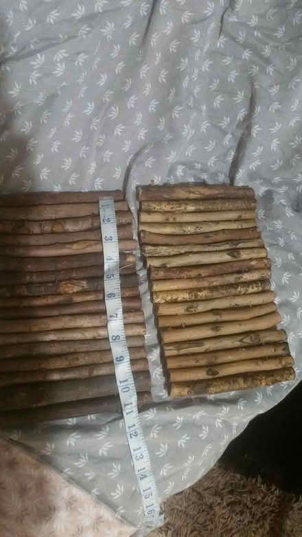 Photo of free 2 Animal log rolls (Southey Green S5) #4