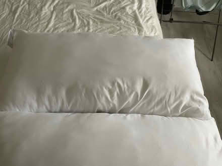 Photo of free Two 91x48 cm John Lewis pillows (Glanton) #4