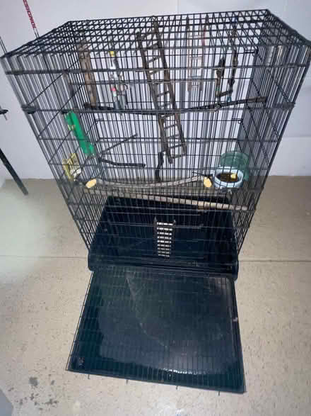 Photo of free Large bird cage (Alamo) #1