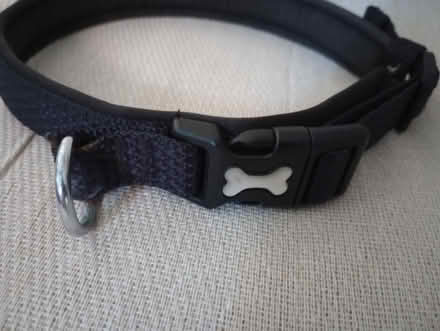 Photo of free Dog lead (Kingsway BA2) #3