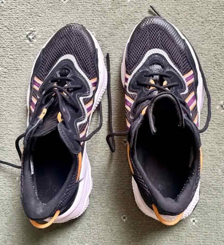 Photo of free Adidas trainers (Dyke Road area BN1) #1