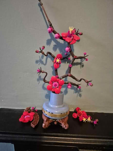 Photo of free Lego plum blossom for adult (SK3 cheadle heath) #1