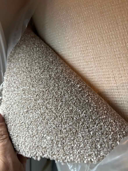 Photo of free New carpet (Tywardreath PL24) #1
