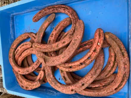 Photo of free Horse shoes (Alburgh IP20) #1
