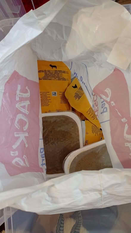 Photo of free puppy food (King's Hedges Ward CB4) #1