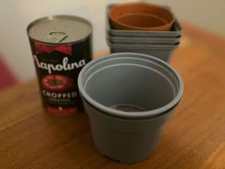 Photo of free Small plant pots (Banner Cross S11) #1