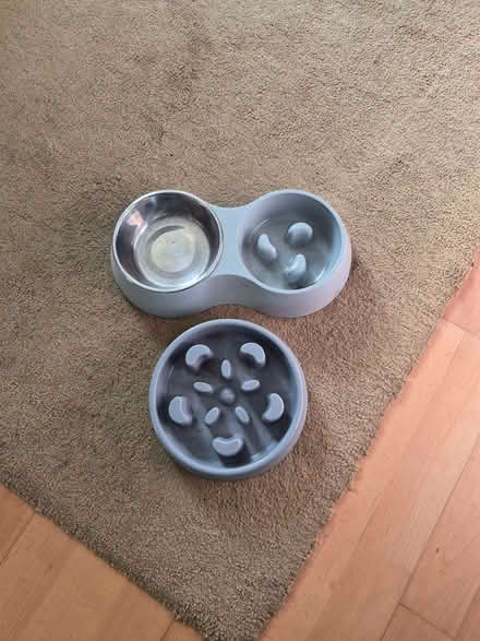 Photo of free Dog/puppy bowls (Whitley CV3) #1