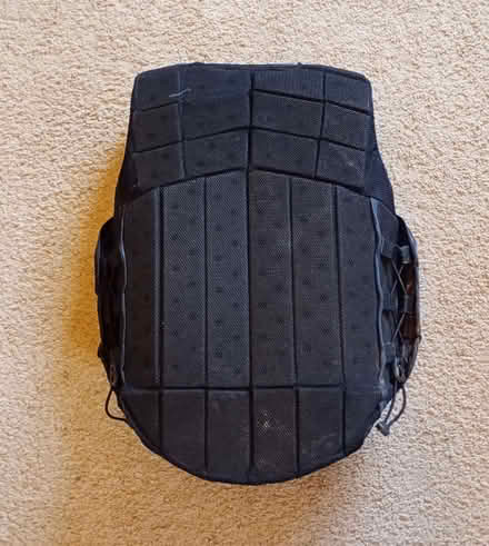 Photo of free Horse riding body protector (Berrow WR13) #2