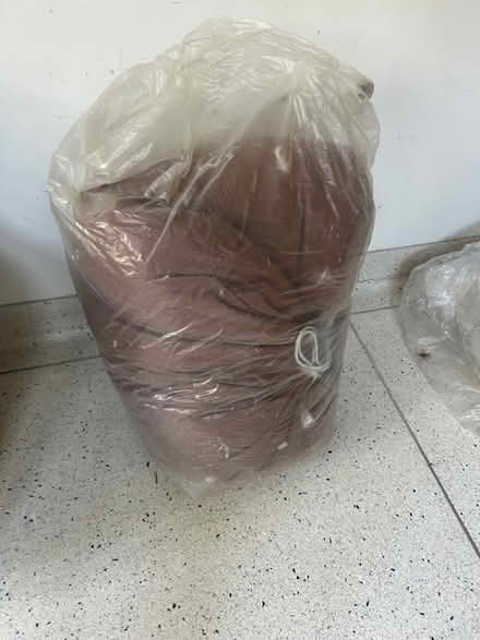 Photo of free Feathers (Fulham) #1