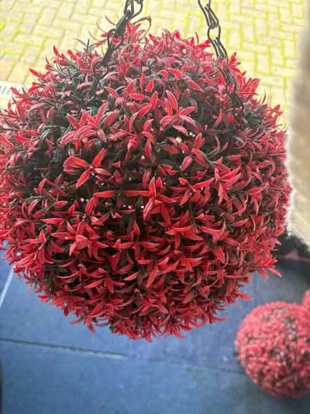 Photo of free Red Topiary Balls x 4 (Blackpill SA2) #1