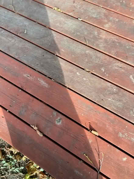 Photo of free Wood Decking (Bearton SG5) #3