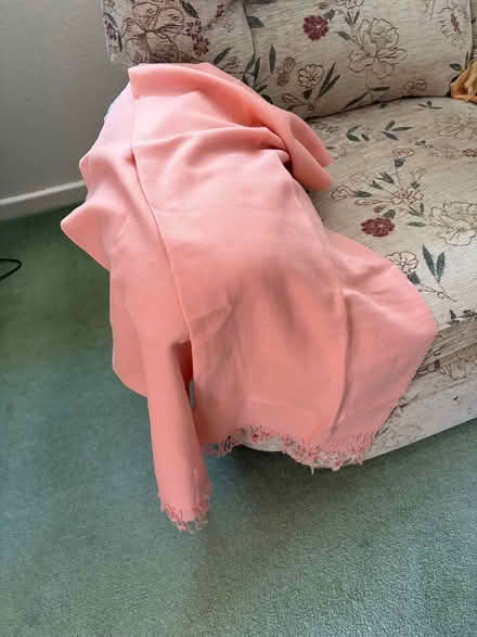 Photo of free Pashmina (Sutton Courtenay OX14) #1