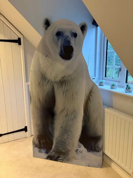 Photo of free 6ft cardboard polar bear (Hitchin Herts SG4) #1