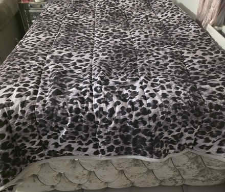 Photo of free Bed (Faversham ME13) #1