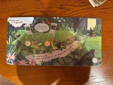 Photo of free Children’s bird book (Ha02nt) #2