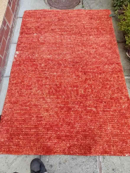 Photo of free Rug (Handbridge CH4) #1