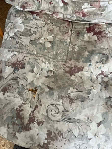 Photo of free 3 piece bamboo conservatory furniture (Reddish SK4) #3