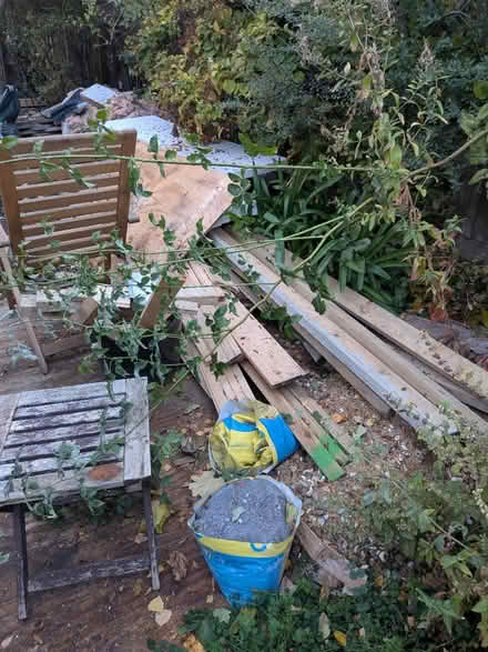 Photo of free Timber (Petersfield CB1) #1