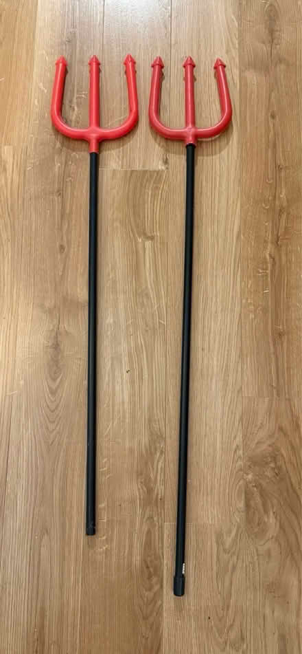 Photo of free 2 x Devil’s Pitchforks (Cowplain PO8) #2