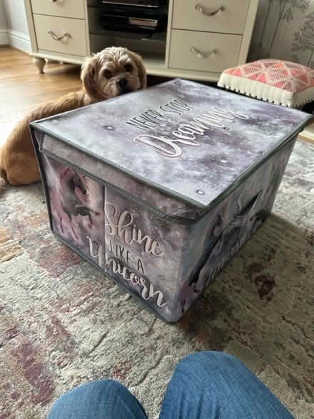 Photo of free Storage box children (darwen BB3) #1
