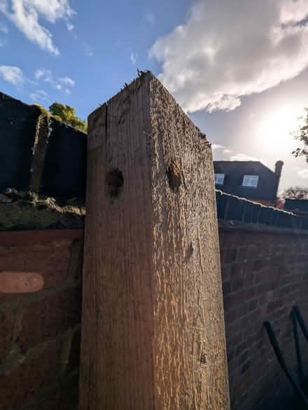 Photo of free Wood Sleeper (softwood) (Wantage, OX12) #2