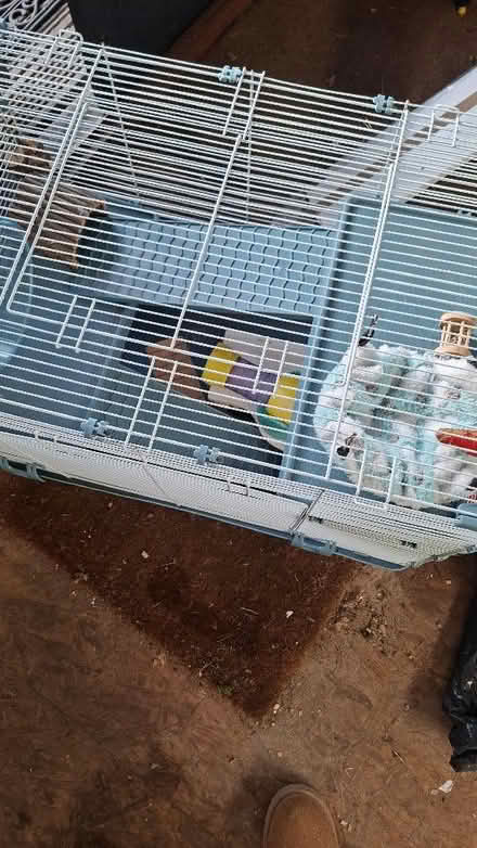 Photo of free Hamster/gerbil cage (Colchester CO4) #3