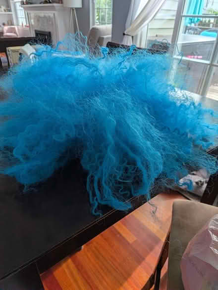 Photo of free Blue wig (63rd& main, DG) #1