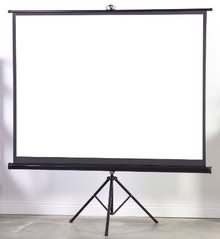 Photo of Projector Screen (Chesterfield S40) #1