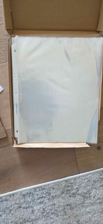 Photo of free Page Protectors (Bowie) #1