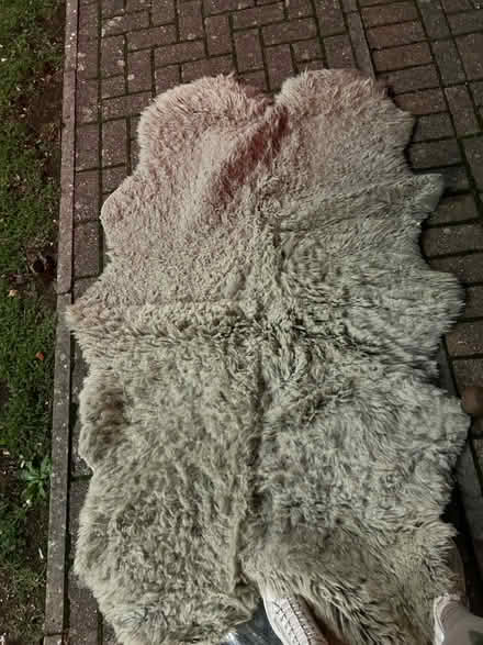 Photo of free Gray Sheepskin (Bognor Regis PO21) #1