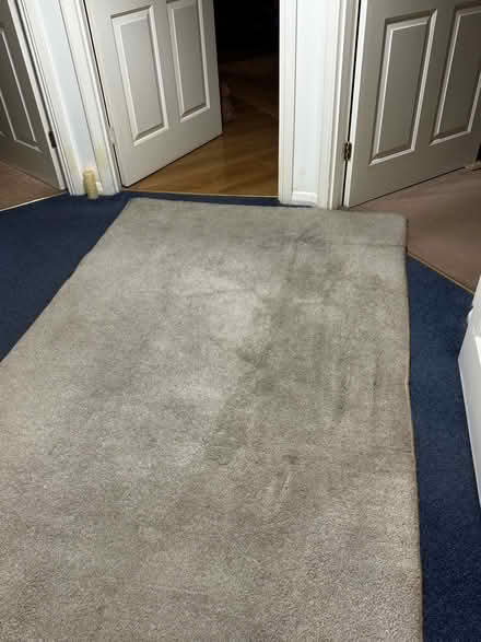 Photo of free Handmade Rug Cream/Beige 5x4 (Henwick RG19) #3