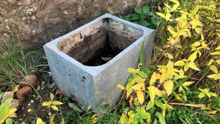 Photo of free Galvanised water tank: use as garden planter / water feature (Malvern Link WR14) #1