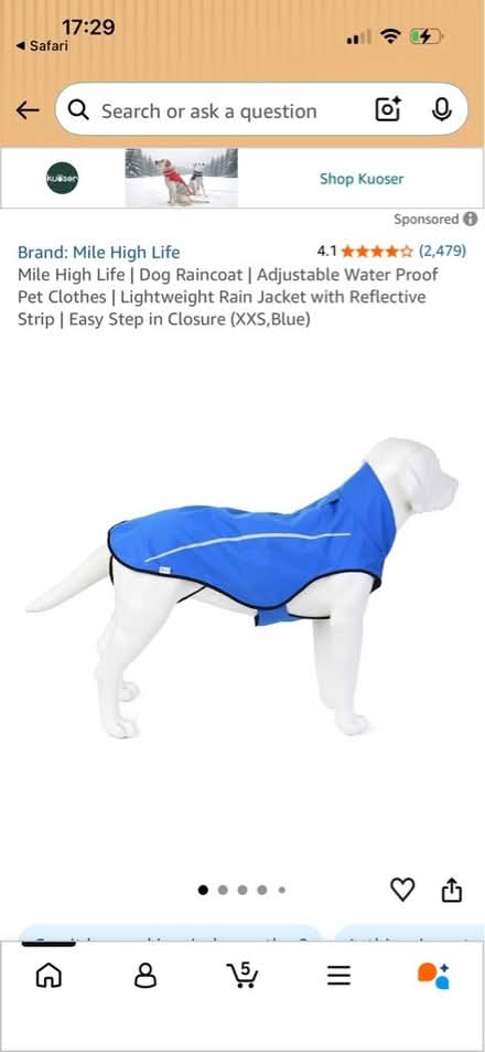 Photo of XL dog raincoat (Knaphill GU21) #1