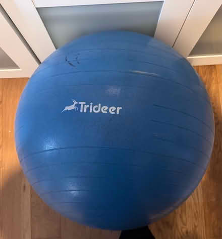 Photo of free Large exercise ball (Ware SG12) #1