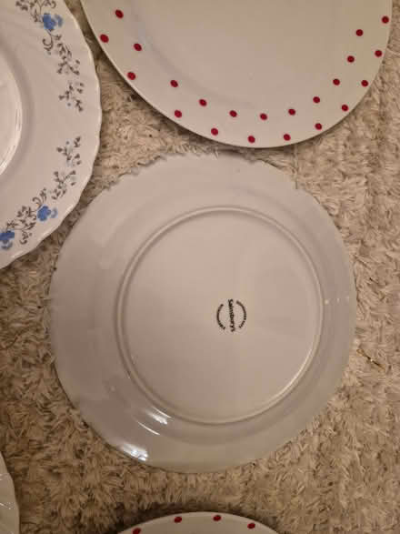 Photo of free Dinner plates x5 (Basildon SS14) #2
