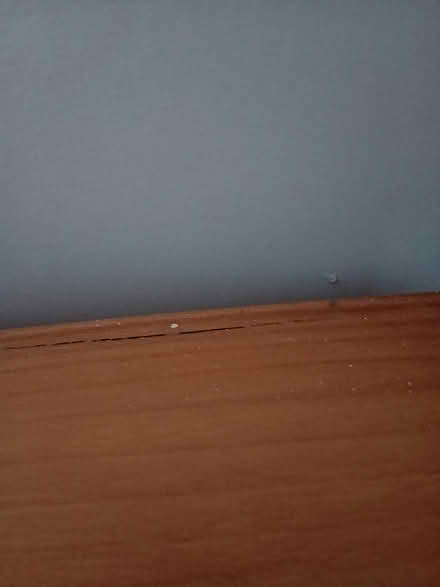 Photo of free Small Wardrobe (baby clothes) (Deeside CH5) #4