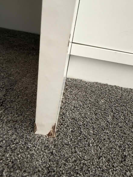 Photo of free Cabin bed (WD3) #4