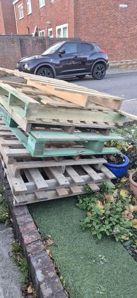Photo of free Pallets (Wd64tb WD6) #1
