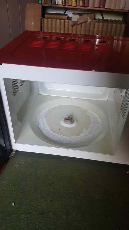 Photo of free Small Microwave (Swyre DT2) #3