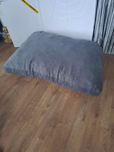 Photo of free Large bean bag (S137TR) #1