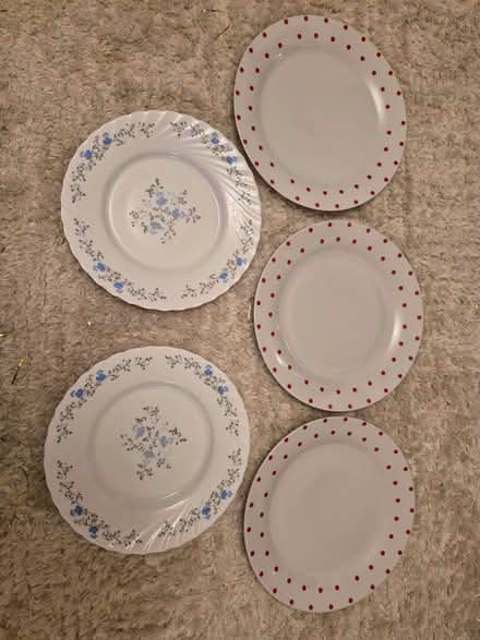 Photo of free Dinner plates x5 (Basildon SS14) #1