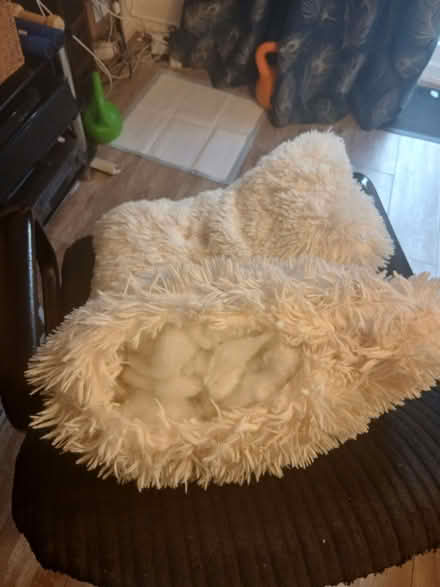 Photo of free Two Cushions (Halewood L26) #2